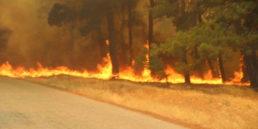 Bayramiç’te 3 köy tahliye edildi