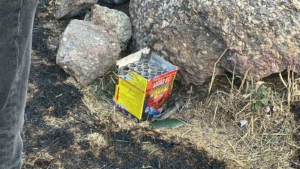 Maltepe’de ormana yakın noktada atılan havai fişek yangın çıkardı