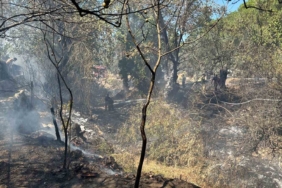 Balıkesir’de kırsal alanda çıkan yangın kısa sürede söndürüldü