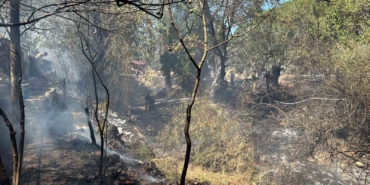 Balıkesir’de kırsal alanda çıkan yangın kısa sürede söndürüldü