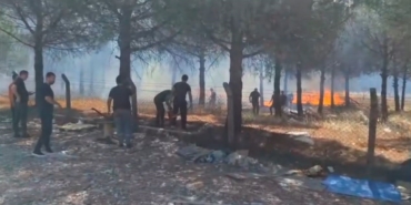 Silivri’de yangın ormanlık alana sıçramadan söndürüldü