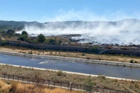 Ayvacık ilçesinde çöplükte başlayarak ormanlık alana sıçrayan yangın büyük ölçüde kontrol altına alındı