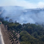 TEM Otoyolu kenarındaki ağaçlık alanda çıkan yangın söndürüldü