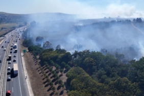 TEM Otoyolu kenarındaki ağaçlık alanda çıkan yangın söndürüldü