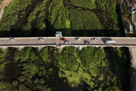 Tunca Nehri’nde kuraklık: Otlar yayıldı, su yüzeyi yeşile döndü