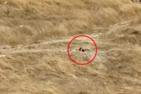 Kapaklı’da güpegündüz boş alanda uygunsuz görüntülere tepki