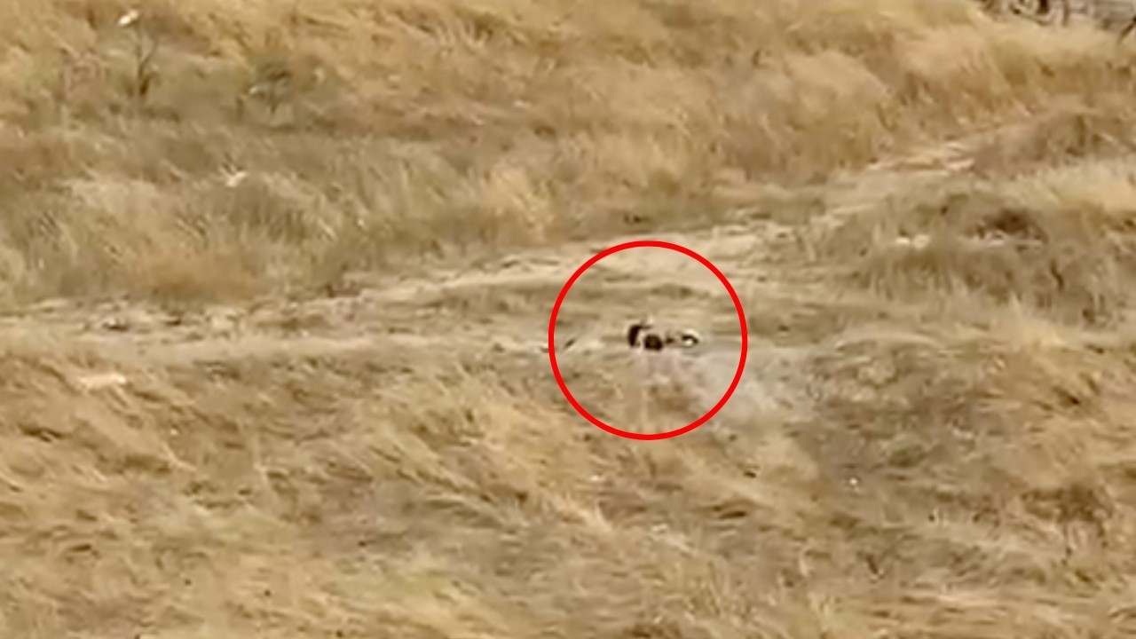 Kapaklı’da güpegündüz boş alanda uygunsuz görüntülere tepki