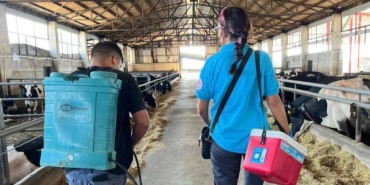 Tekirdağ’da hayvan hastalıklarıyla mücadelede aşılama çalışmaları sürüyor