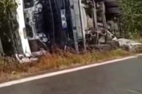 Beton mikseri fındık tarlasına devrildi: Sürücü yaralandı