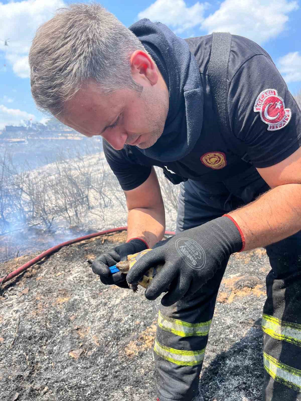 Alevlerin ortasında bir damla hayat