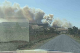 Gelibolu’da orman yangını