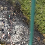 Orhangazi’de orman yangını korkuttu