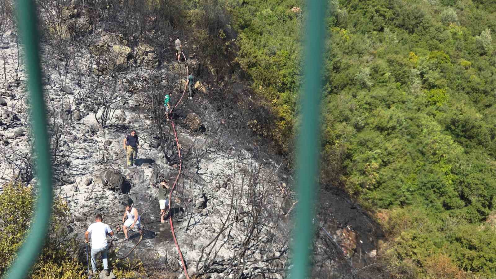 Orhangazi’de orman yangını korkuttu
