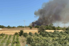 Lapseki’deki orman yangınını söndürme çalışmaları sürüyor