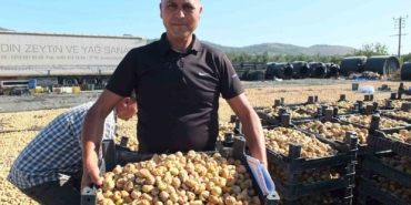 Balıkesir’ de Havran ilçesi incir de Aydın’a rakip oldu