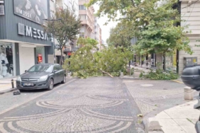 Bandırma’da gece yarısı fırtına: Ağaçlar devrildi, araçlar zarar gördü