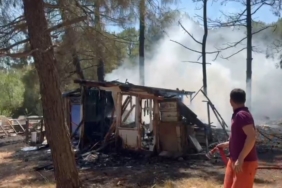 Gönen’de çamlık alanda yangın paniği: Arı kovanları zarar gördü