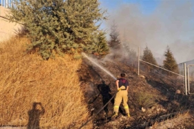 Balıkesir’de otoyol kenarında ot yangını korkuttu