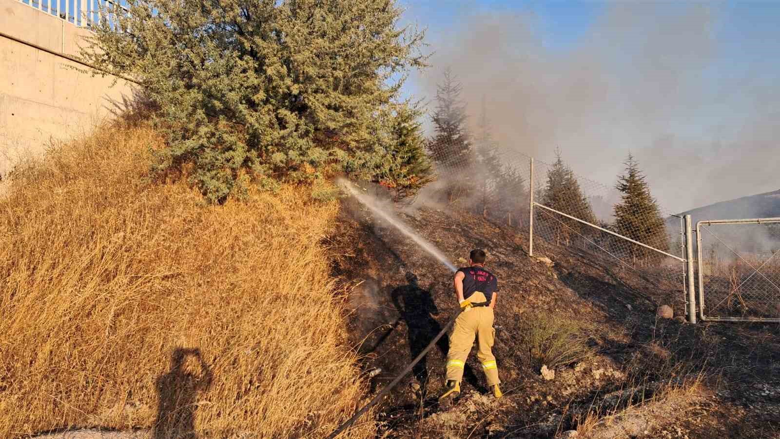 Balıkesir’de otoyol kenarında ot yangını korkuttu