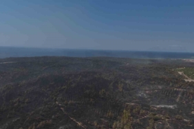 Yanan ormanın görüntüsü yürekleri dağladı