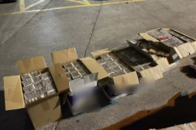 Bilecik’te 226 bin adet dolu makaron ele geçirildi