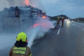 Tomruk yüklü tırda yangın paniği
