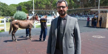 TİGEM tay satışı ve koşulardan bu yıl 500 milyon lira gelir bekliyor