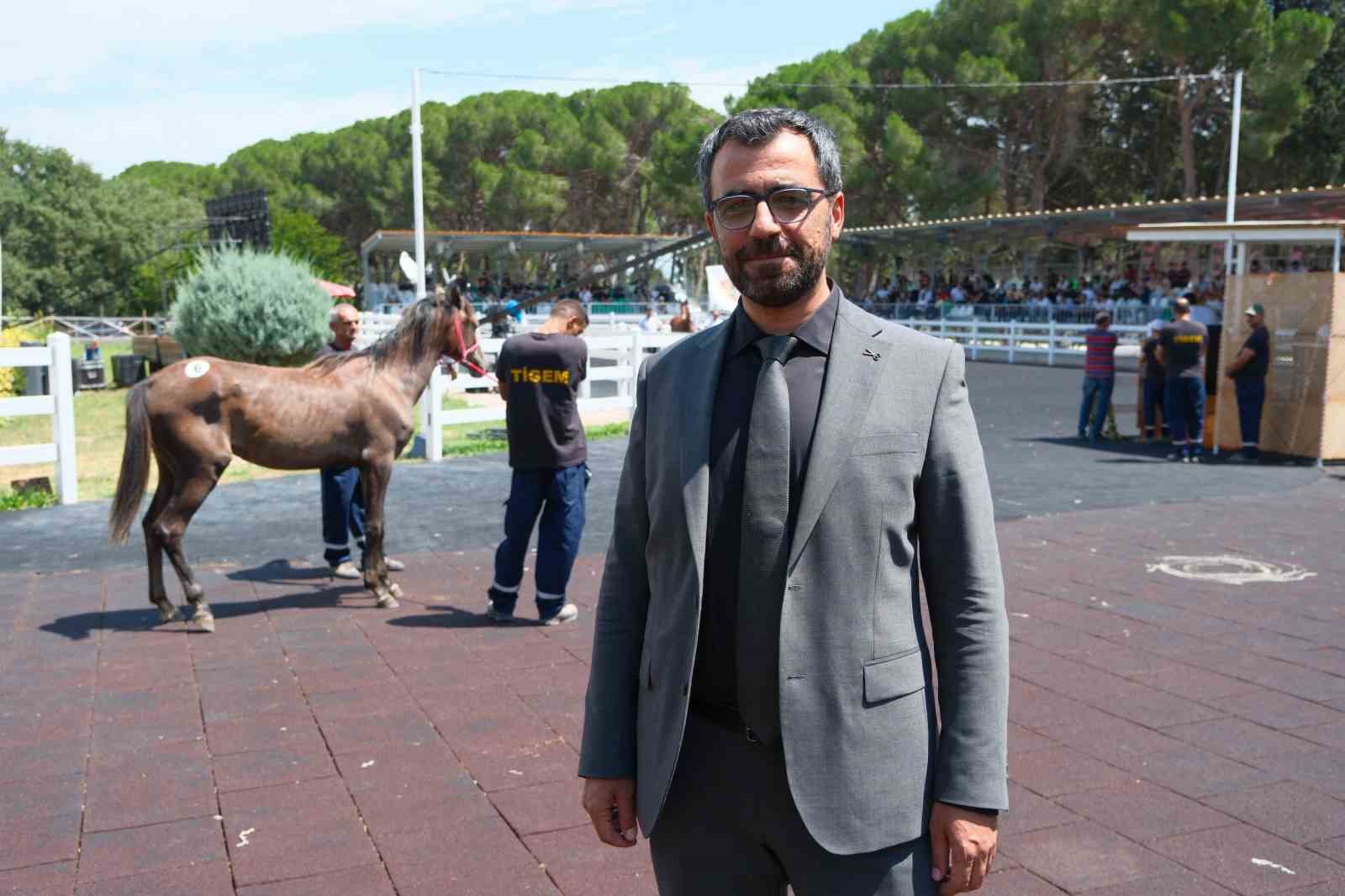 TİGEM tay satışı ve koşulardan bu yıl 500 milyon lira gelir bekliyor