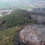Bursa’da yanan ormandan geriye gri görüntü kaldı
