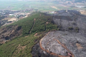 Bursa’da yanan ormandan geriye gri görüntü kaldı