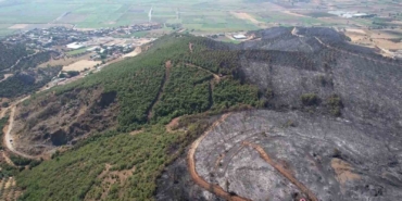 Bursa’da yanan ormandan geriye gri görüntü kaldı
