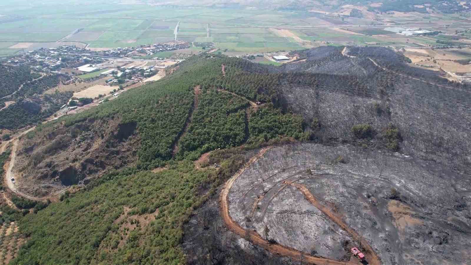 Bursa’da yanan ormandan geriye gri görüntü kaldı