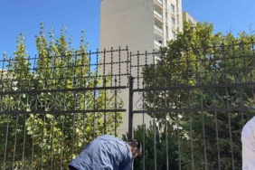 Başakşehir’de minibüs dehşeti: Devlet korumasındaki çocukların da aralarında bulunduğu 6 yayaya çarptı