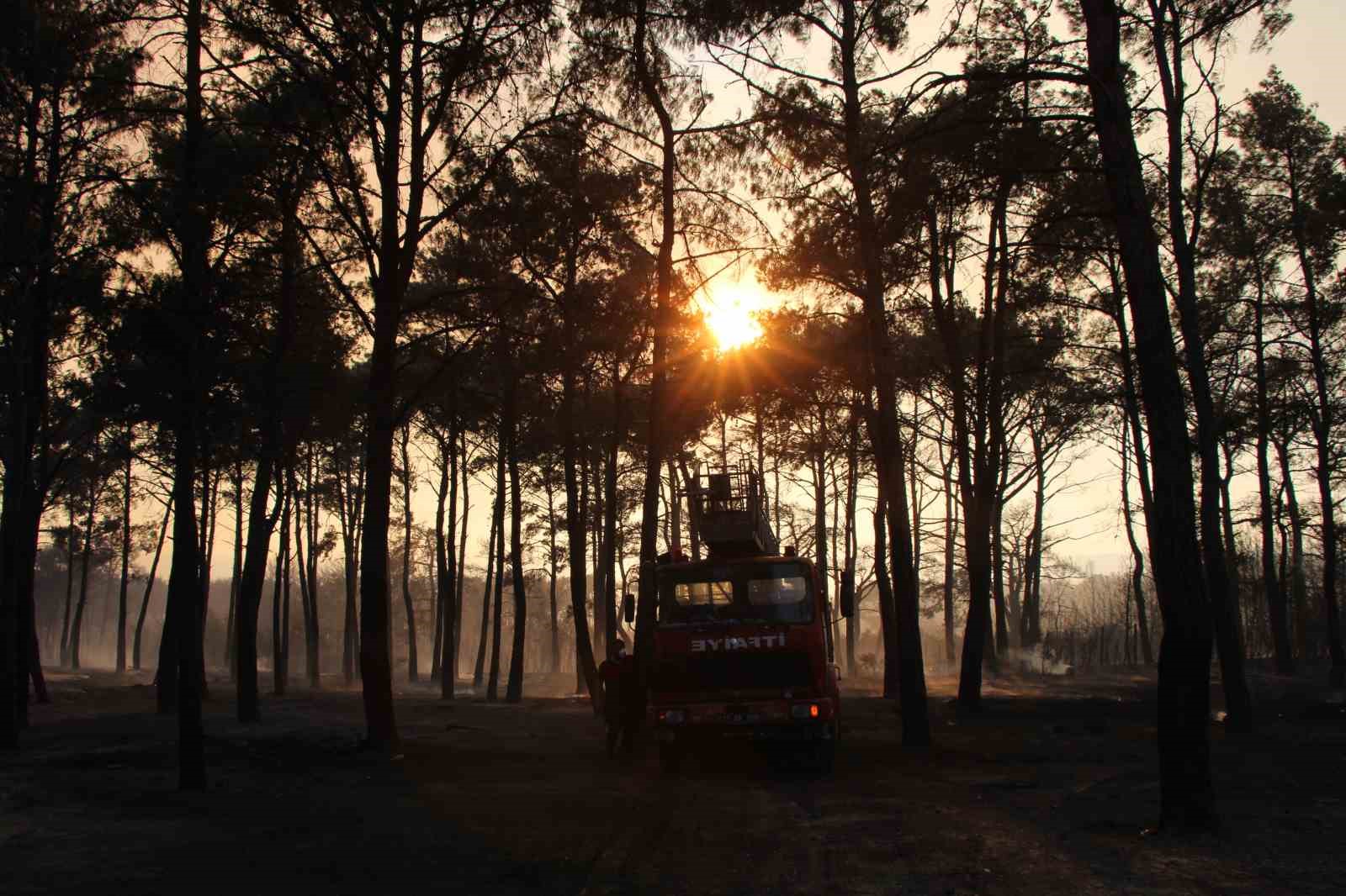 Çanakkale’de devam eden yangında 3 köy boşaltıldı