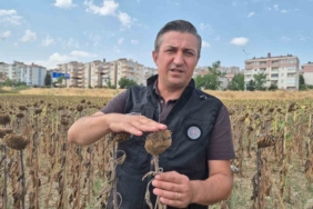 Kendilerine kepçeyle, çiftçiye çay kaşığıyla: Trakya Birlik’e tepki büyüyor