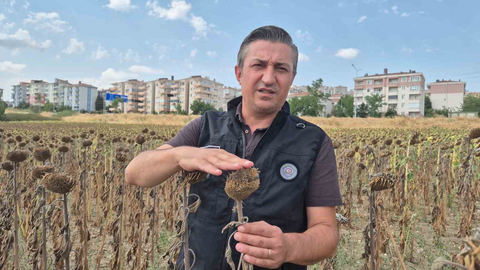 Kendilerine kepçeyle, çiftçiye çay kaşığıyla: Trakya Birlik’e tepki büyüyor