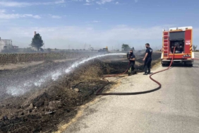 Tekirdağ’da çıkan yangın korkuttu