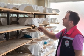 Tekirdağ’da ekmek üretim yerlerine eş zamanlı denetim