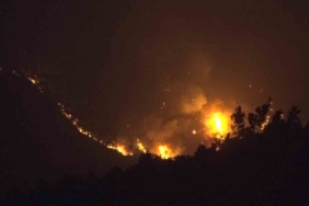 Kocaeli’deki orman yangını 8,5 saattir sürüyor: Rüzgar müdahaleyi güçleştiriyor