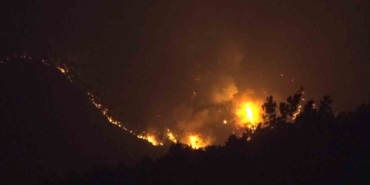 Kocaeli’deki orman yangını 8,5 saattir sürüyor: Rüzgar müdahaleyi güçleştiriyor