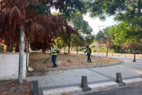 Silivri Belediyesi’nden yangınlara karşı önlem: Ot biçme ve temizlik çalışmaları yapıldı