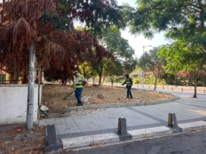 Silivri Belediyesi’nden yangınlara karşı önlem: Ot biçme ve temizlik çalışmaları yapıldı