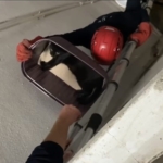 Balıkesir’de apartman boşluğuna düşen kedi yaralı olarak kurtarıldı