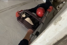 Balıkesir’de apartman boşluğuna düşen kedi yaralı olarak kurtarıldı