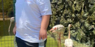 Sinema dönüşünde kaza: 17 yaşındaki genç hayatını kaybetti