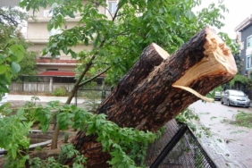 Kocaeli’de sağanak: Yıldırım evin çatısına düştü