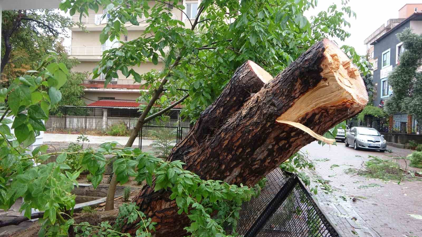 Kocaeli’de sağanak: Yıldırım evin çatısına düştü