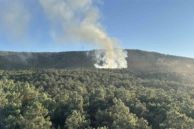 Ataşehir’de orman yangını, büyümeden söndürüldü