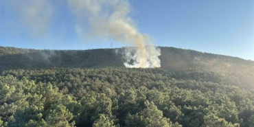 Ataşehir’de orman yangını, büyümeden söndürüldü