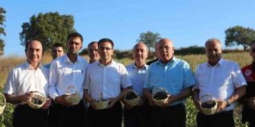 Gönen’de 2. aronya hasadı yapıldı